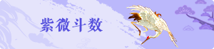 紫微斗数