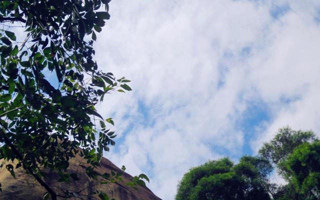 花瓶也有风水讲究吗