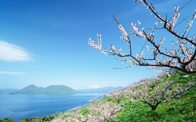 八字流年劫伤女命