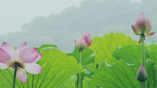 风水和道教有关系吗